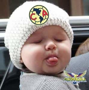 Meet your Posher, Pedro